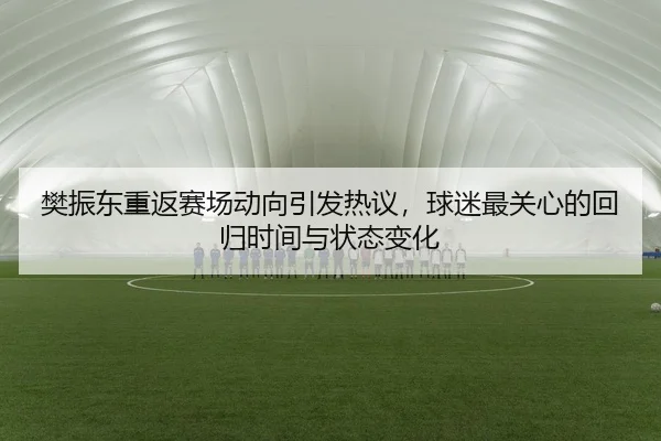 樊振东重返赛场动向引发热议，球迷最关心的回归时间与状态变化